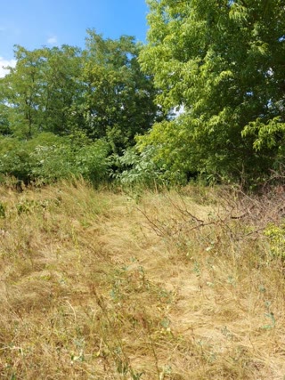For sale 50 acres of land for development in Pisochin