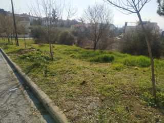 950 m² Plot