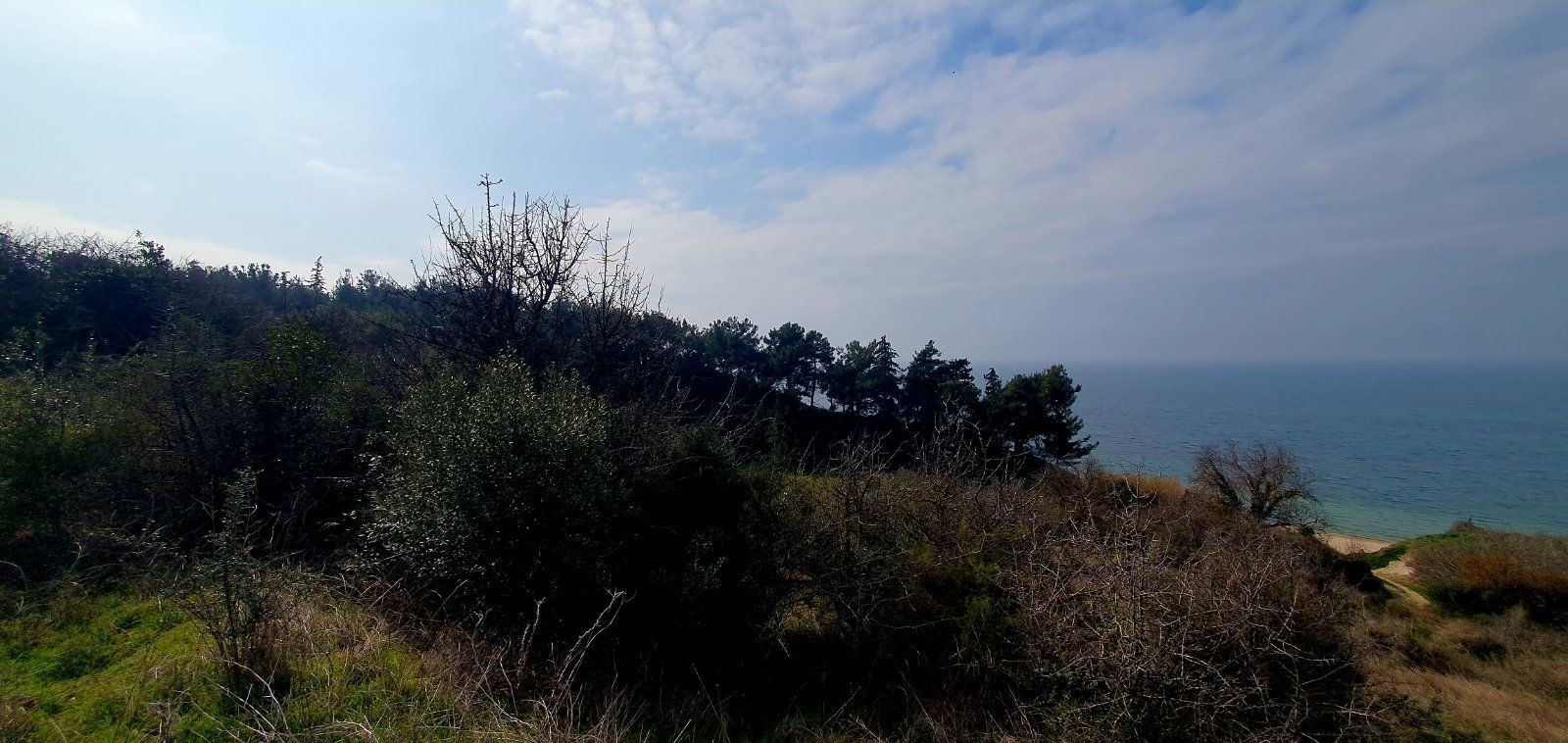 6200 m² Parcel