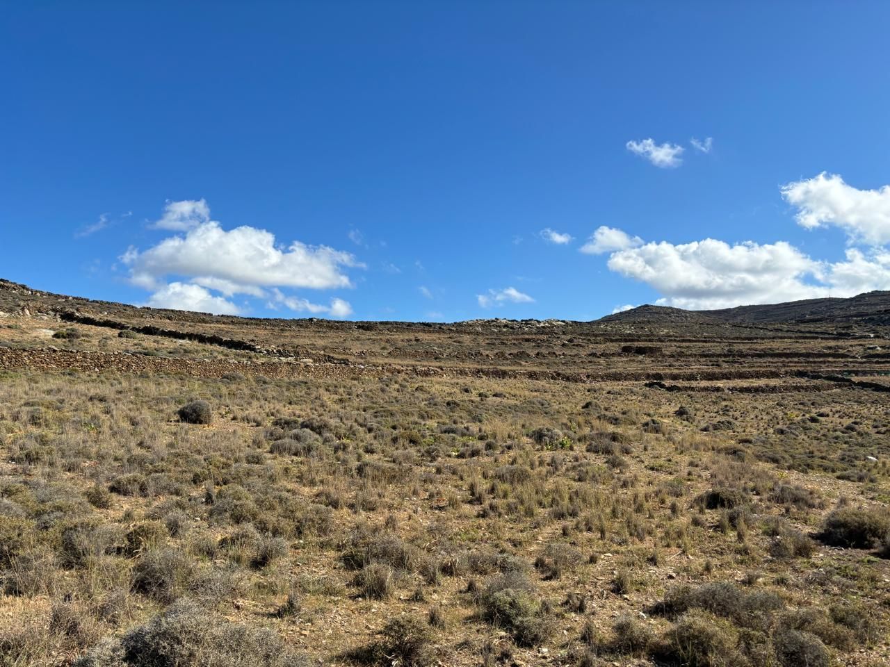 7557 m² Parcel