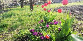 Будинок ветхий з новим комплексом хоз