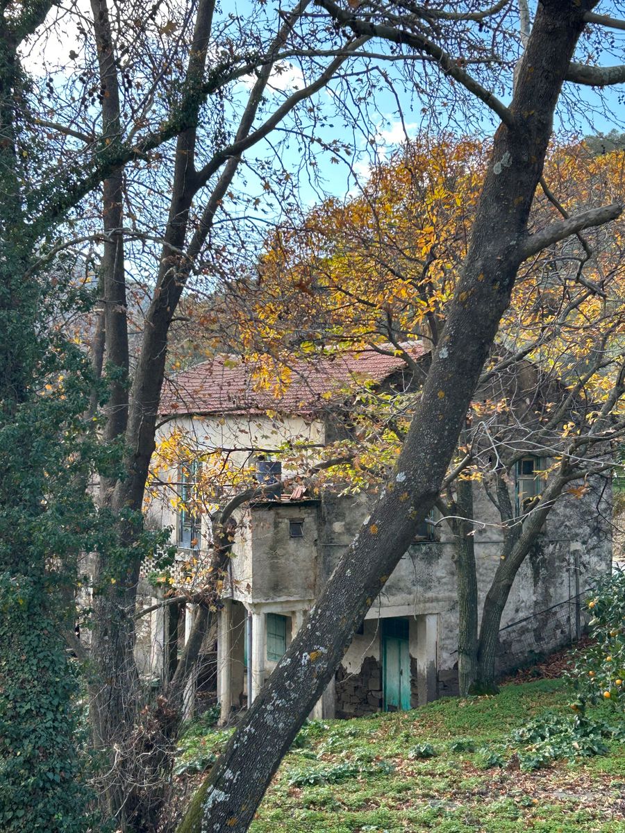 Μονοκατοικία 290τ.μ.