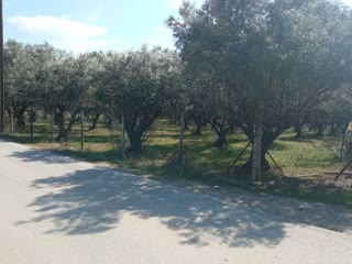 445 m² Plot
