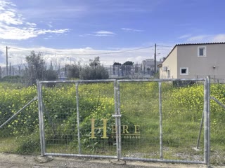 228 m² Plot