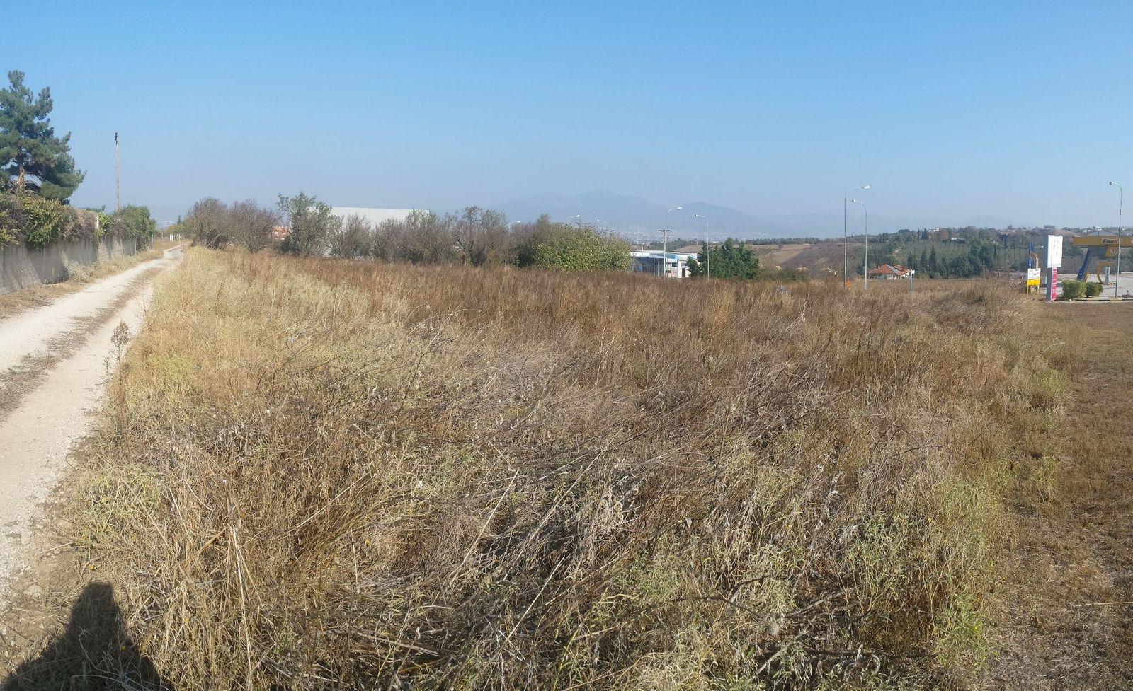 Αγροτεμάχιο 2564 τ.μ.