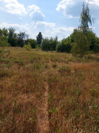 For sale 50 acres of land for development in Pisochin