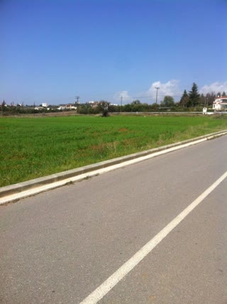 2000 m² Plot