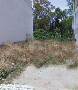 300 m² Plot