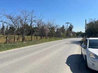 10740 m² Parcel