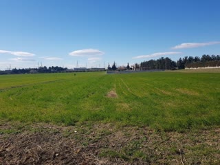 14000 m² Parcel