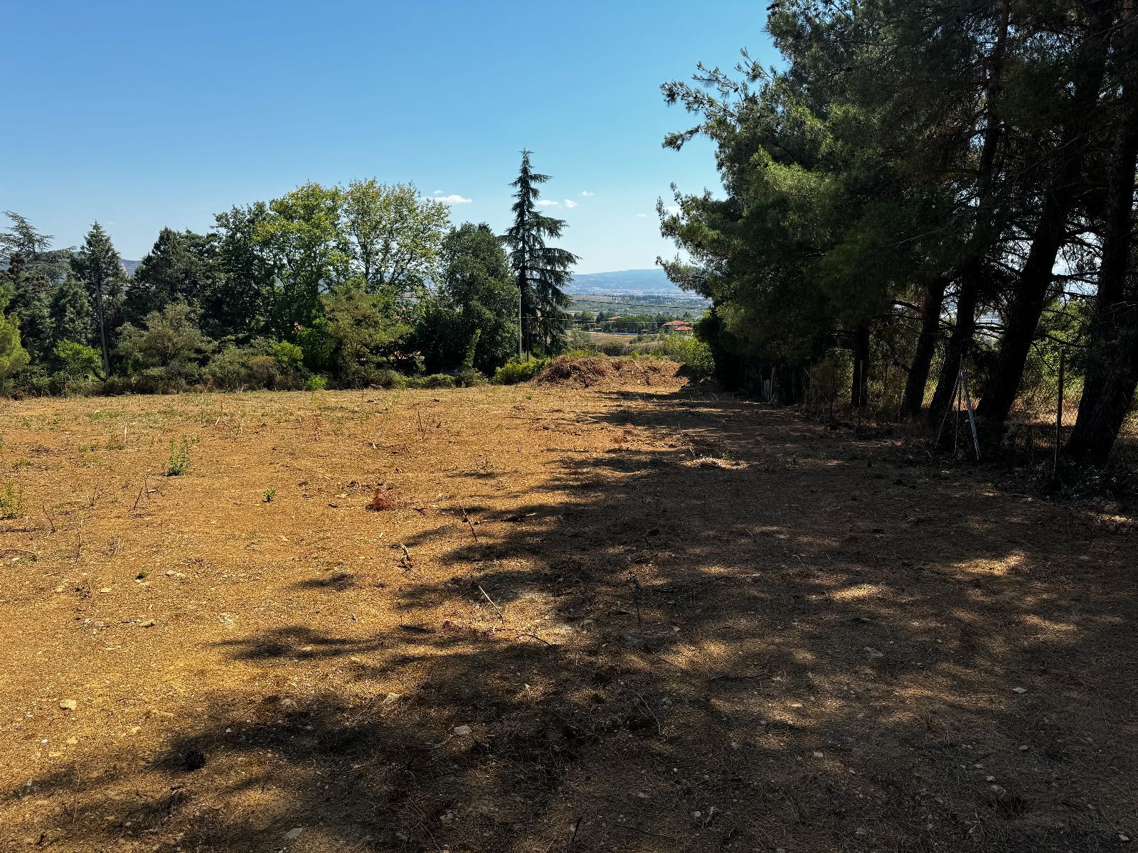 Οικόπεδο 3600 τ.μ.