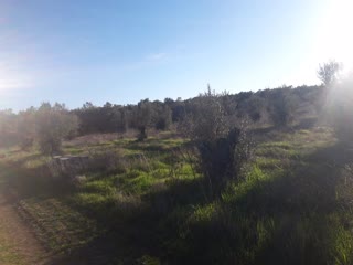 Agricultural Parcel of 8400 m²