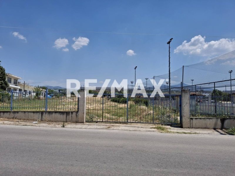 4336 m² Parcel