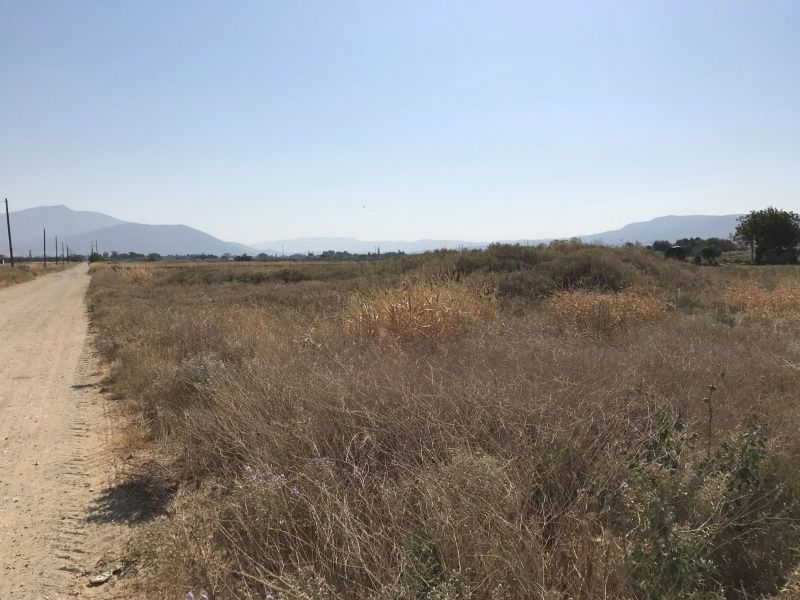 Αγροτεμάχιο 4200 τ.μ.