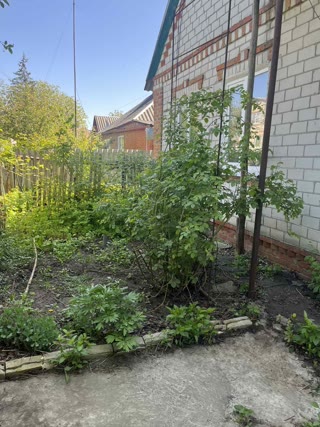 Продам будинок с. Рокитне