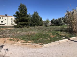 2600 m² Plot