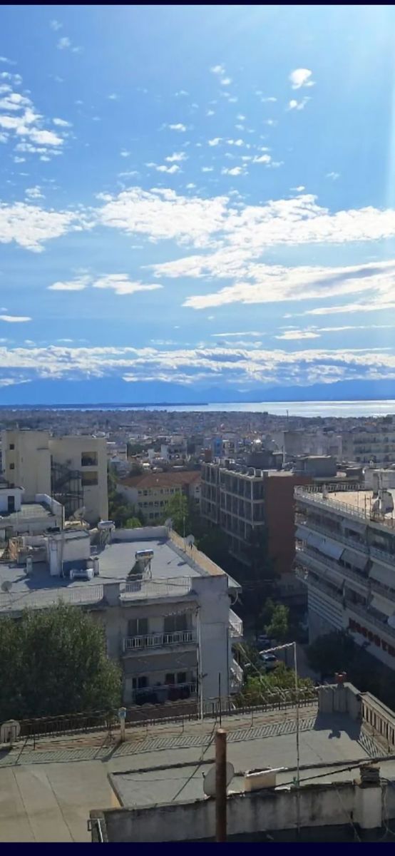 55 m² Studio