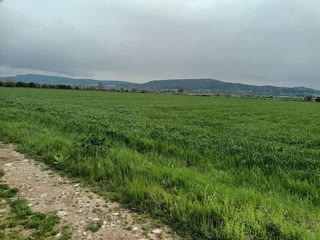 10800 m² Parcel