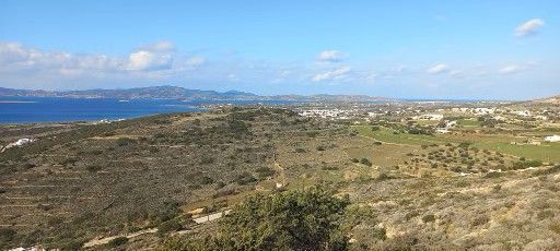 Αγροτεμάχιο 8000τ.μ.