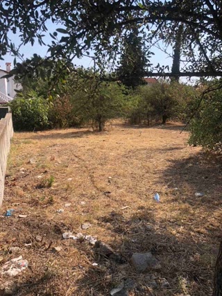 800 m² Plot
