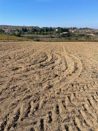 7000 m² Parcel