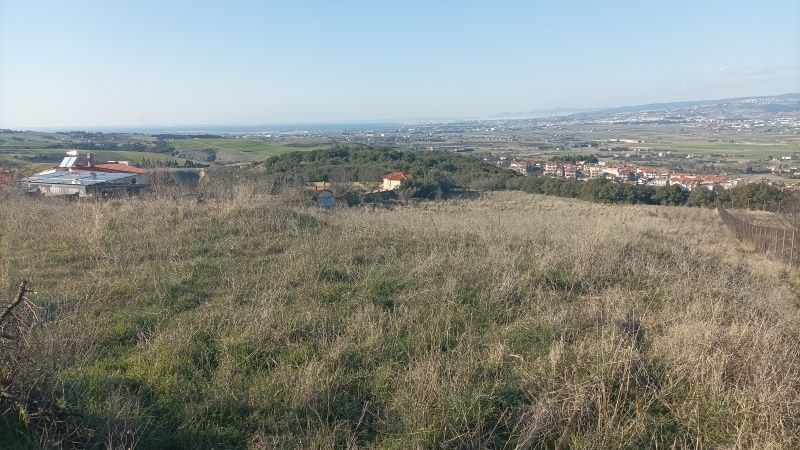 6000 m² Parcel