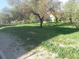 Участок 1300 м²