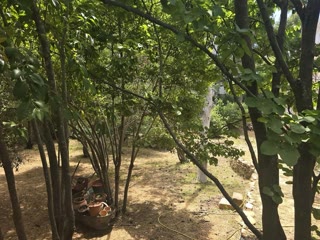 614 m² Plot
