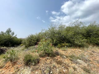 2688 m² Parcel