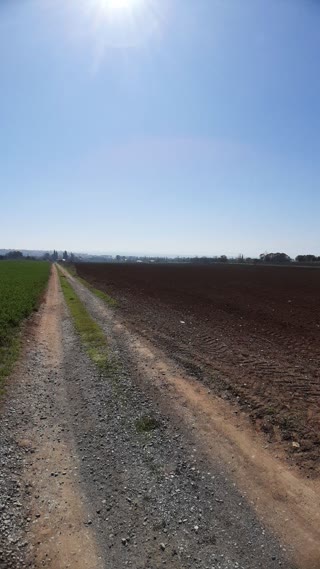 6300 m² Parcel