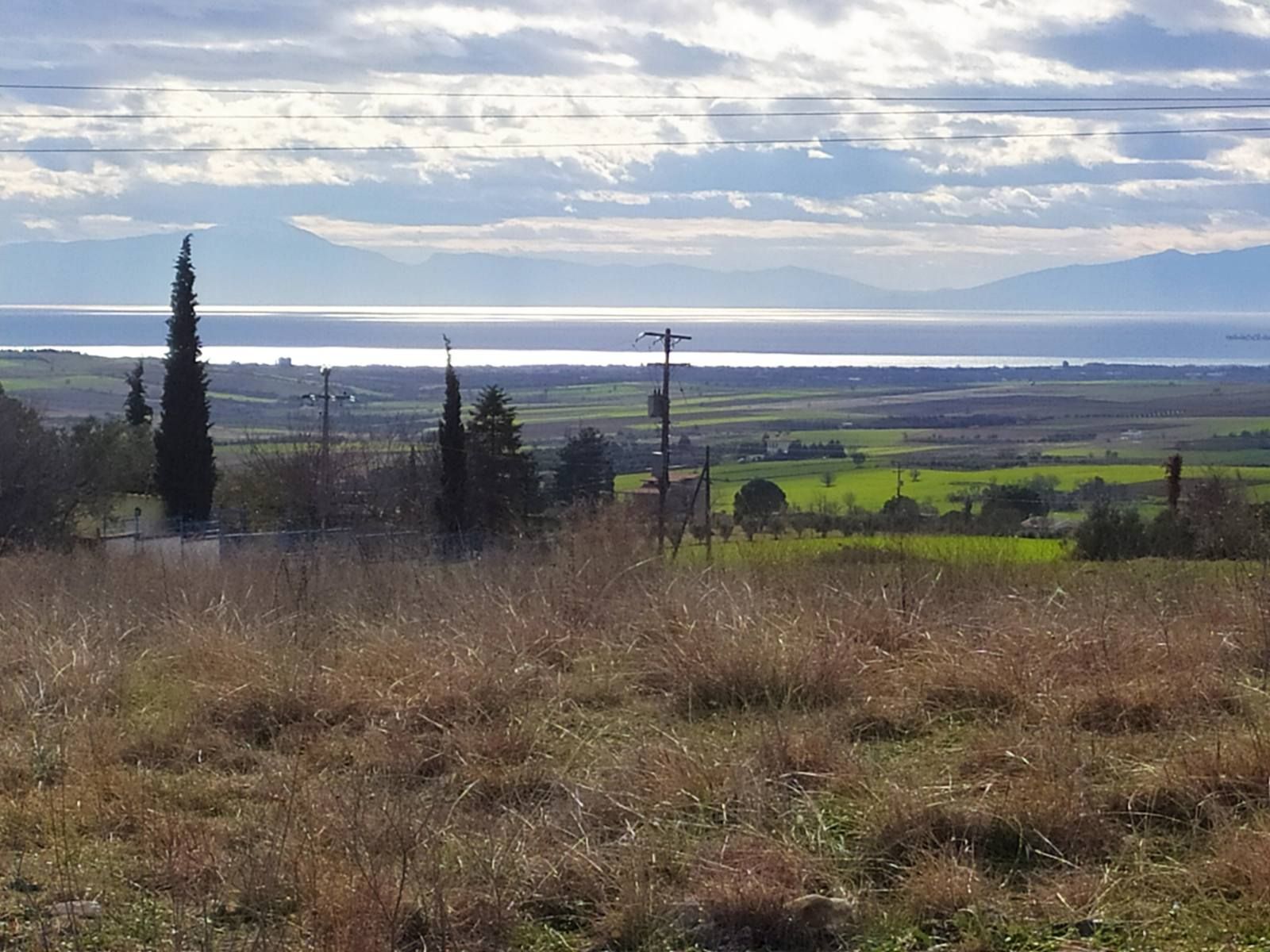 6250 m² Parcel