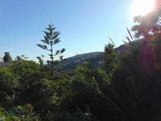 260 m² Detached House