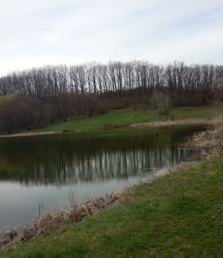 For Sale: Summer Cottage Plot by the Lake