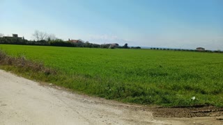 11,700 m² Parcel