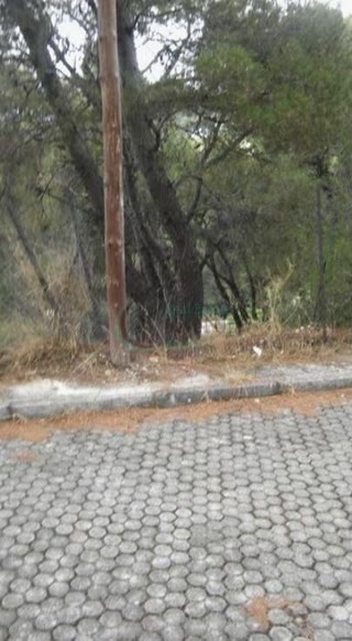 1,072 m² Plot