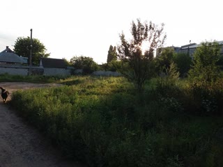 Продам земельну ділянку в Мерефі id_43498625