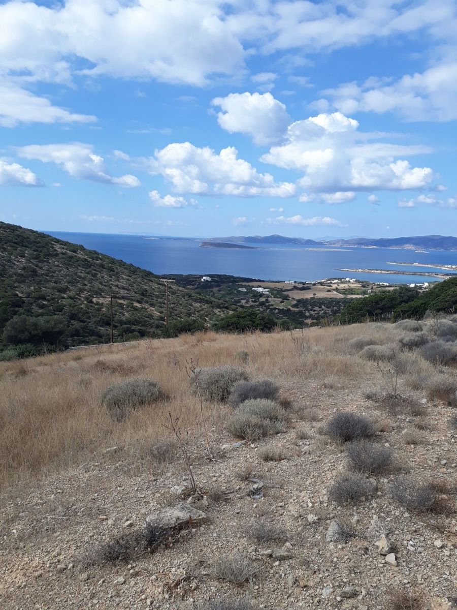 11500 m² Parcel