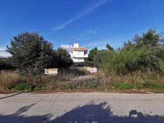 233 m² Plot