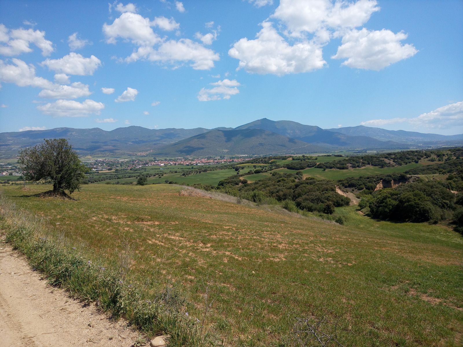 5047 m² Parcel