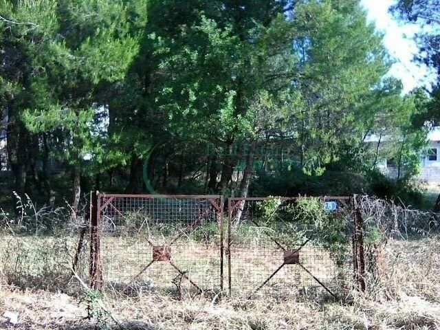 Οικόπεδο 2800 τ.μ.