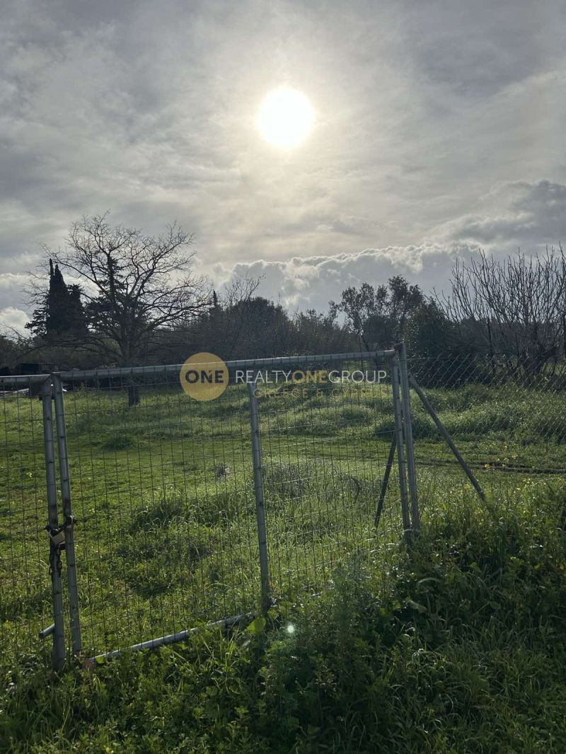 Οικόπεδο 1500 τ.μ.