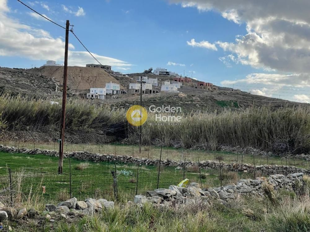 4300 m² Plot