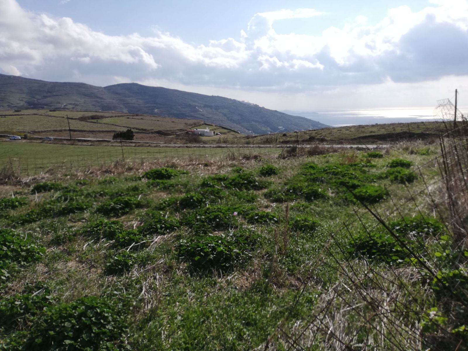 6929 m² Parcel