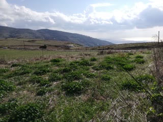 6929 m² Parcel