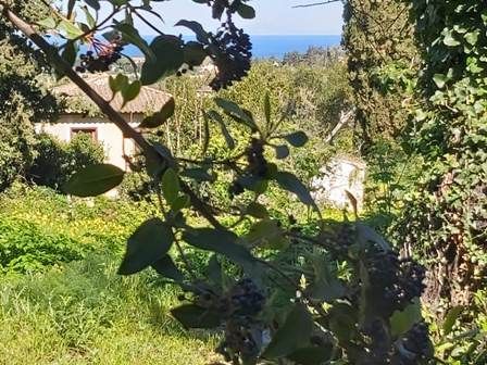 Μονοκατοικία 108τ.μ.