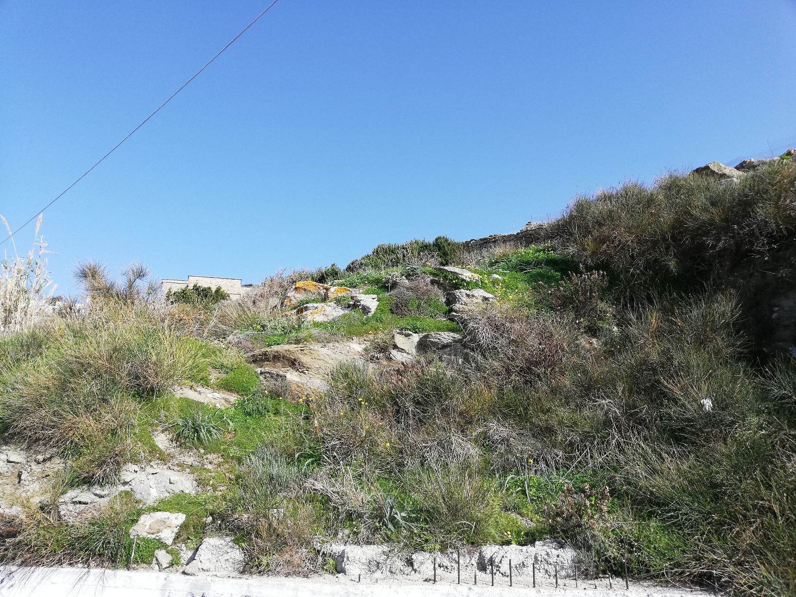 423 m² Plot