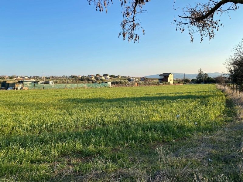 7650 m² Parcel