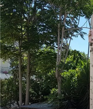 Участок 225 м²