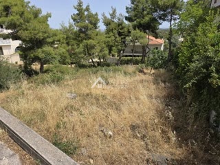 602 m² Plot
