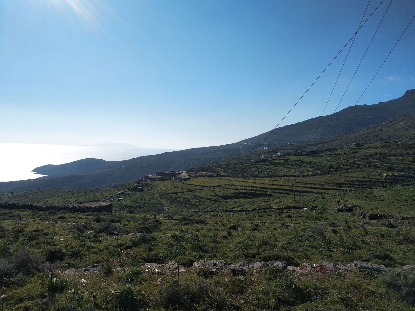 12500 m² Parcel
